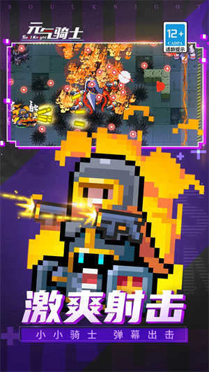 元气骑士池鹭直装版 元气骑士池鹭直装版