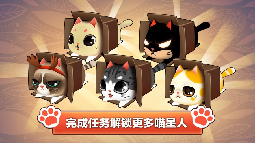 猫小盒1