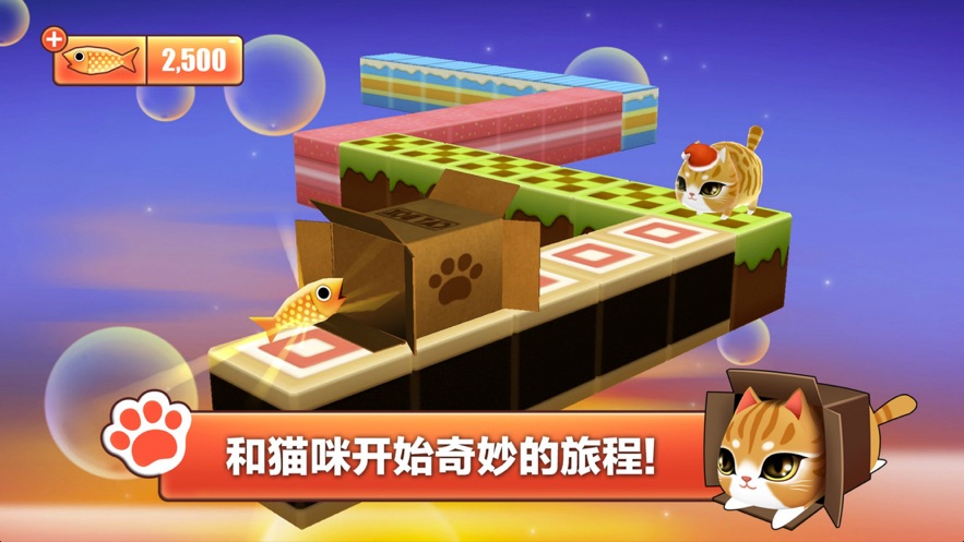猫小盒3