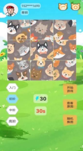 宠物乐拼图1