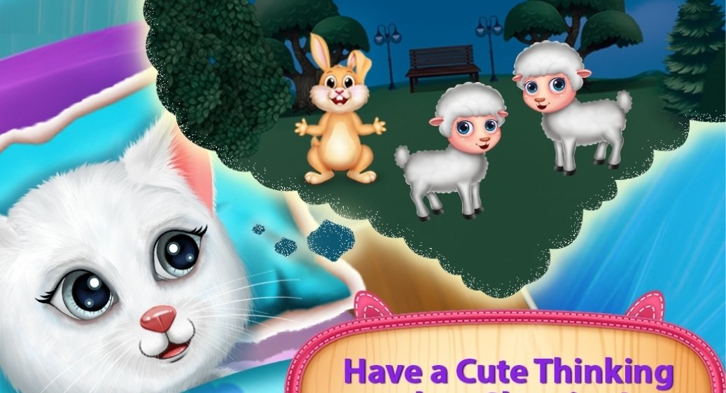 猫咪的睡前活动0