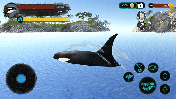 虎鲸模拟器中文版1