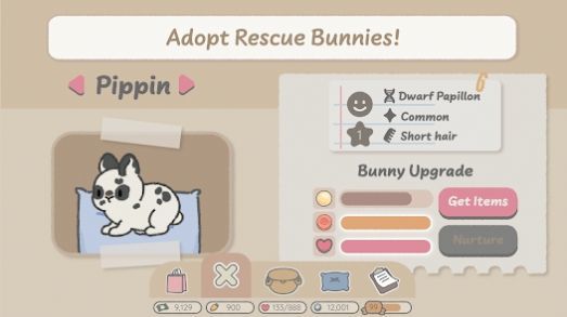 Bunny Haven1