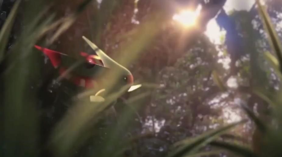 小精灵历险记礼包码0