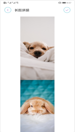 拼长图大师2