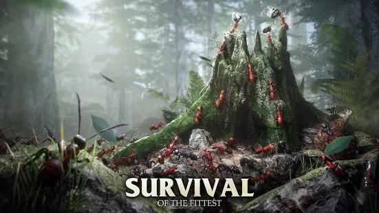 蚂蚁军团为了蚁群1