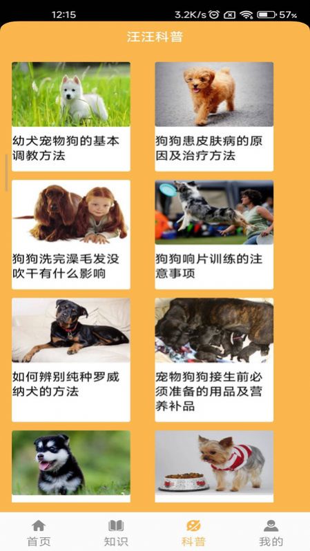 旺旺历险记.jpg