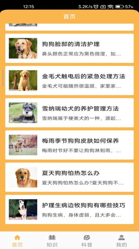 旺旺历险记2