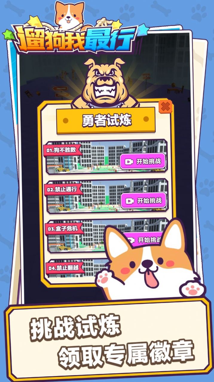 遛狗我最行2