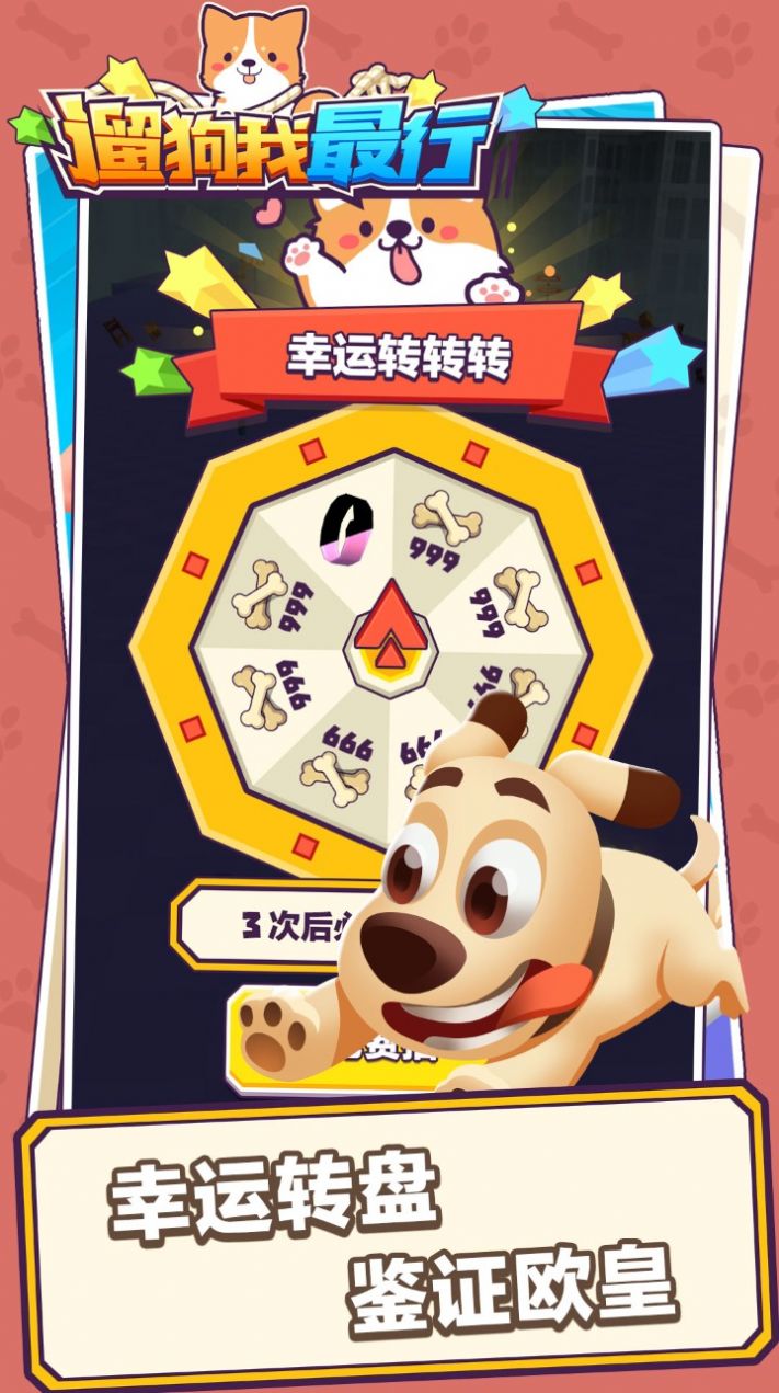 遛狗我最行3