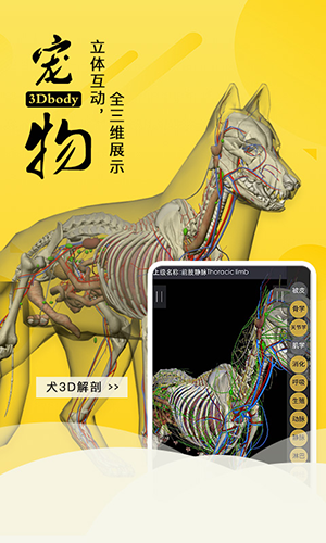3dbody宠物新版本