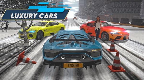 停车之王驾驶城市2