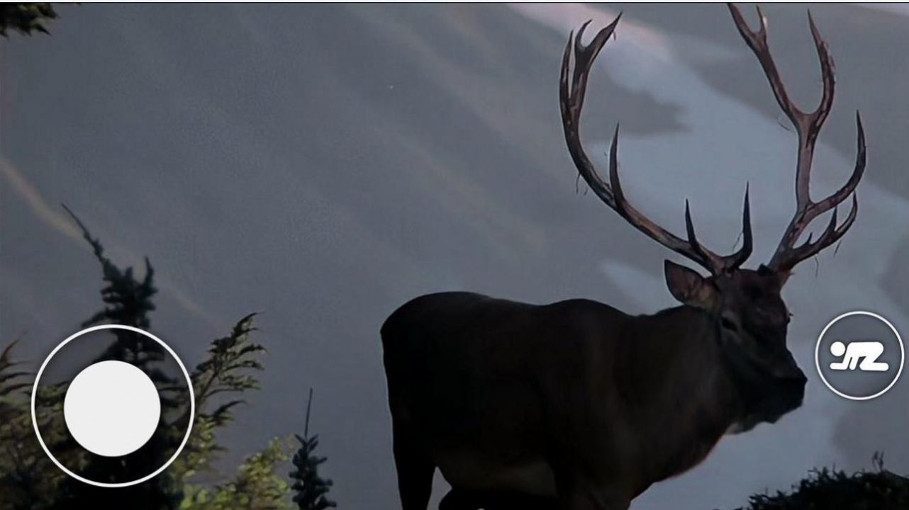 恐怖森林猎人 恐怖森林猎人