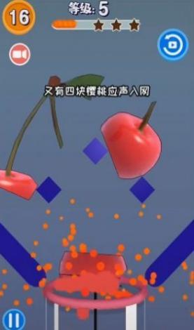切水果榨汁机2