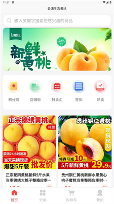 云滇生态黄桃