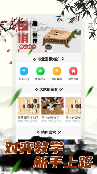 大师围棋9.jpg