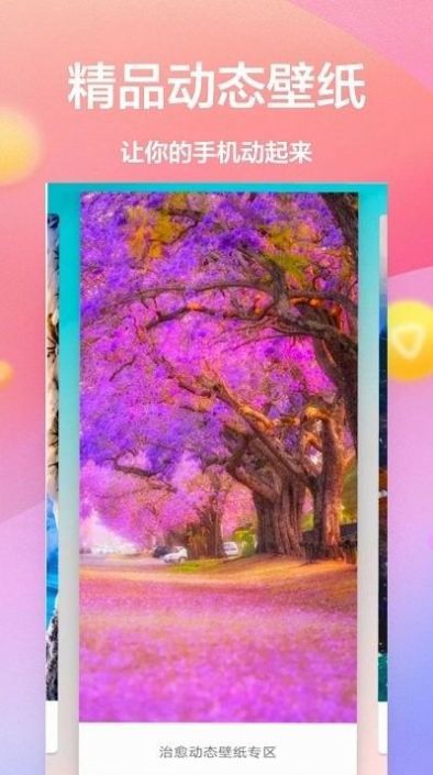 动态壁纸4k免费1