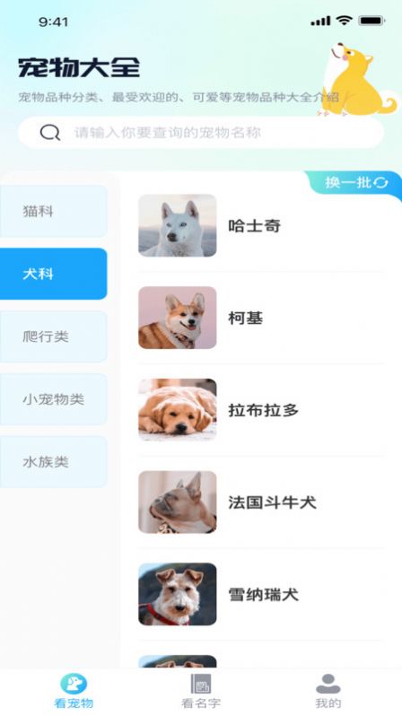 熊猫爱看软件2