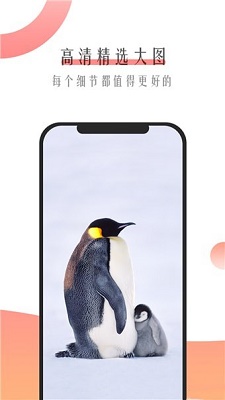 米柚壁纸 米柚壁纸