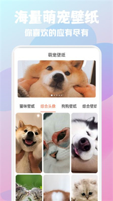 猫狗语宠物翻译器0