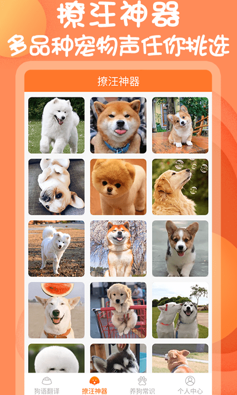 小铃铛狗语翻译器免费版3