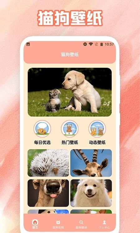 狗叫翻译器助手1