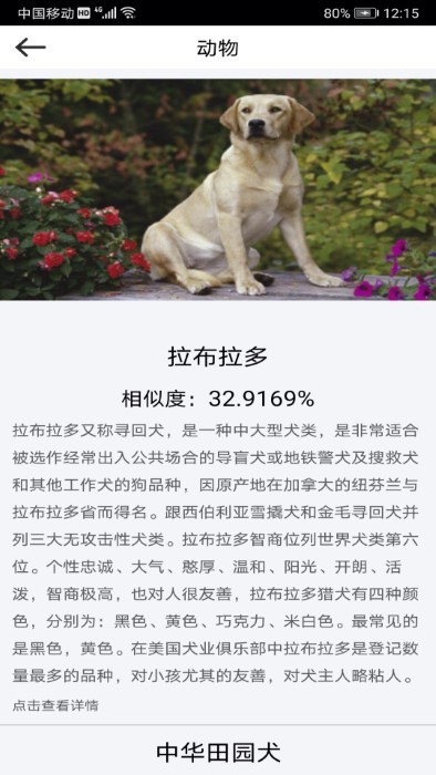 拍照识物高清版