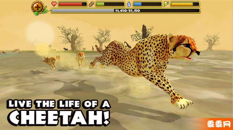 猎豹模拟1