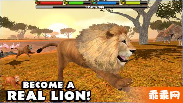 终极狮王模拟3