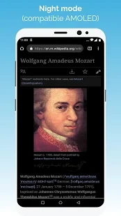 kiwi浏览器中文版3