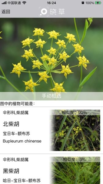 晓草草原植物识别0