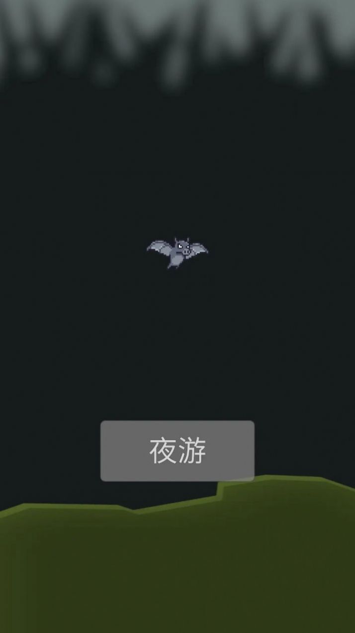 小蝙蝠夜游记2