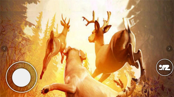 恐怖森林猎人APP0