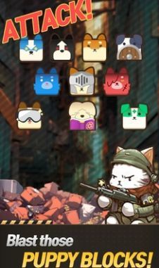 猫狗的呼唤3