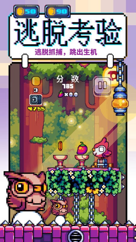 咕咕鸡向上冲测试服 咕咕鸡向上冲测试服