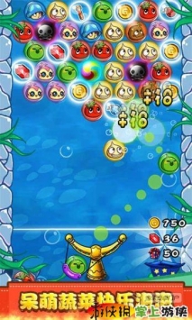 燃烧的蔬菜新年版1