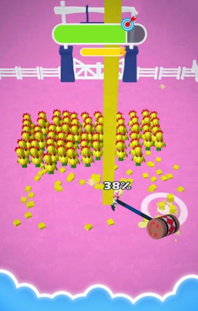 夏日收获1