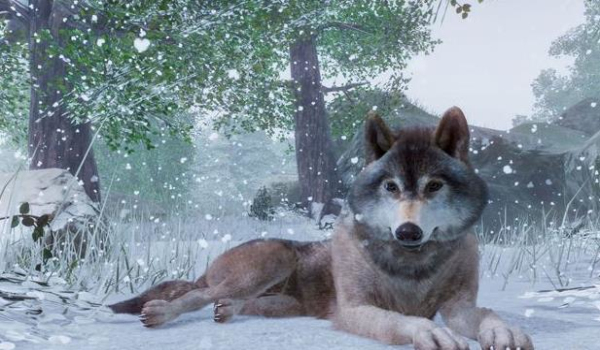 动物园之星免费1