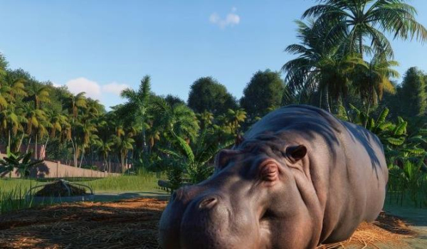 动物园之星免费2