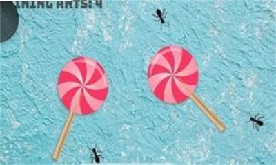 antnut2