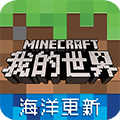 我的世界