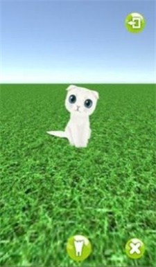 一起来捉猫吧1
