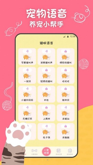 波B宠物翻译器1