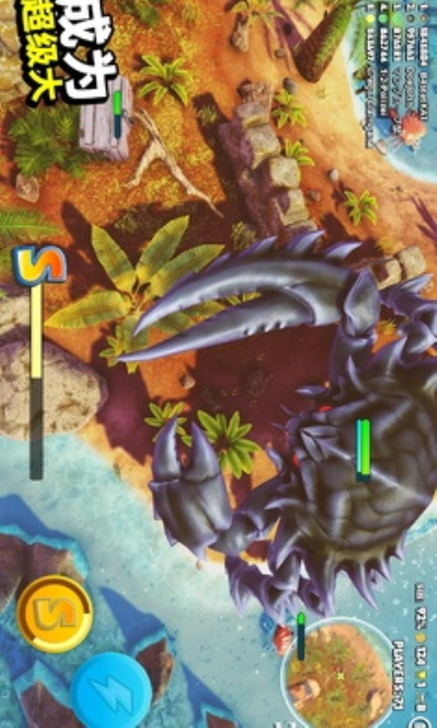 螃蟹之王国际服