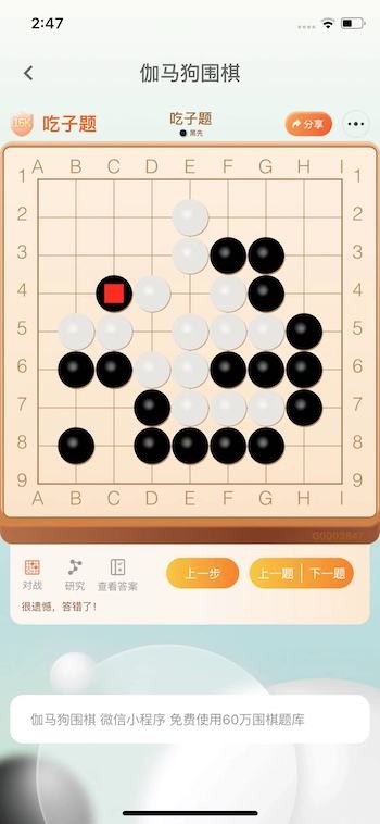 伽马狗围棋1
