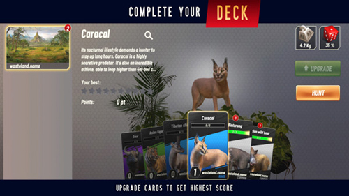 野生动物冲突官方版1