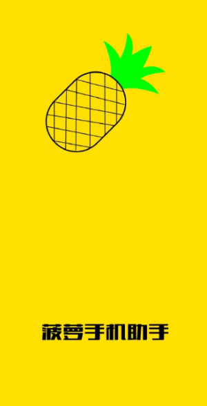 菠萝手机助手1