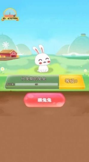饲养小白兔3