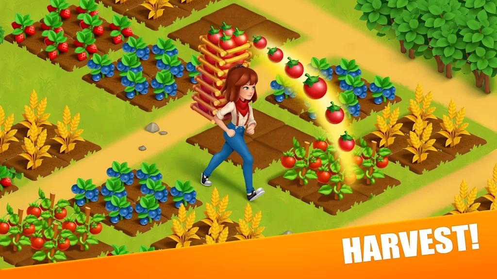 我的家庭农场庄园2