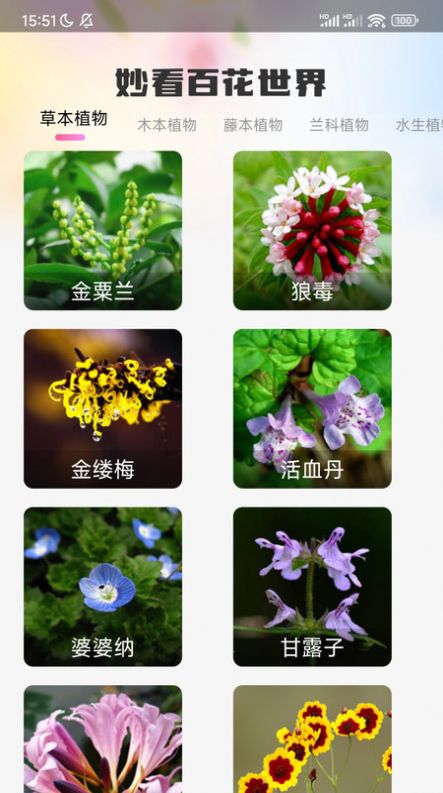 妙看百花3